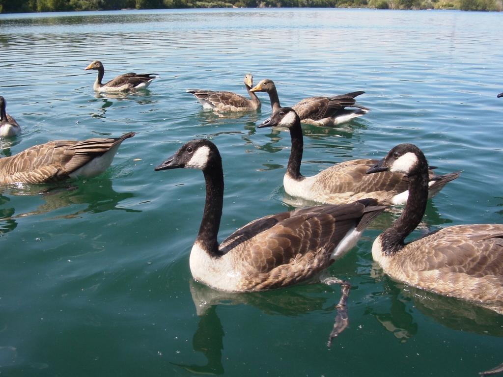 B&B Am See Koeln - Privatzimmer 객실 사진